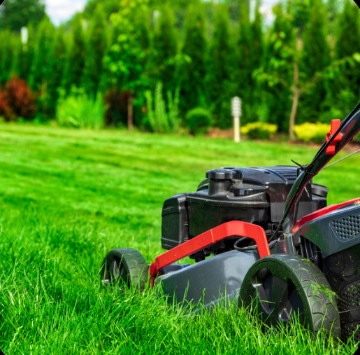 Grass Cutting Service